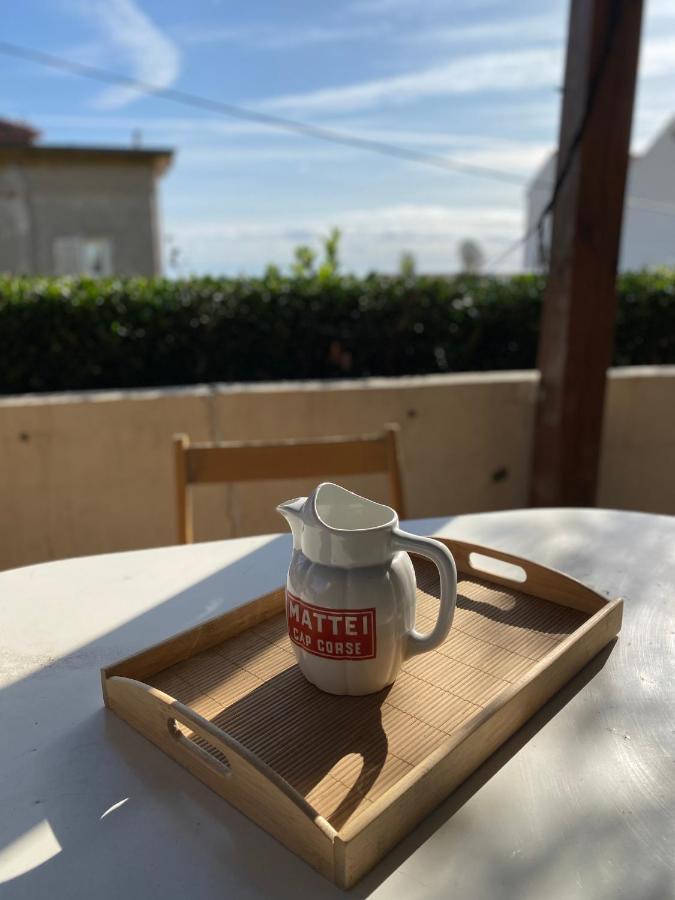 Un Jardin Dans La Ville *
