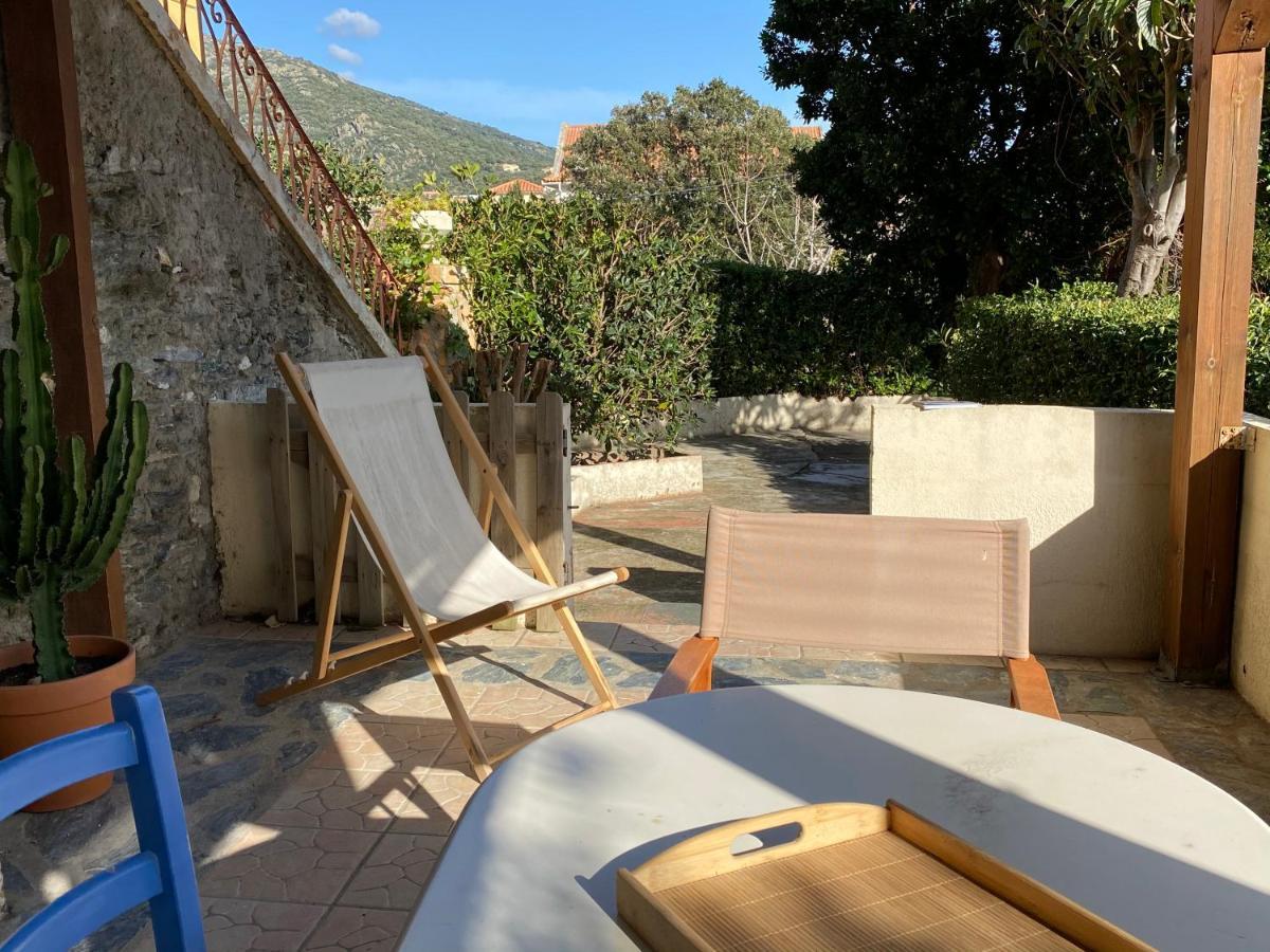 Un Jardin Dans La Ville Bastia (Corsica)