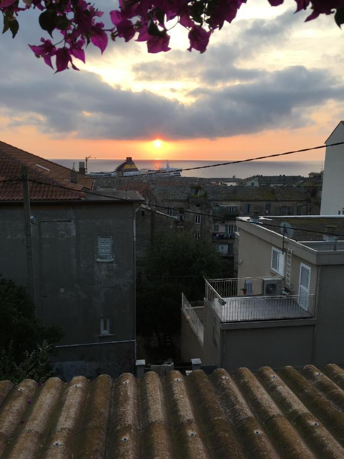 Appartement Un Jardin Dans La Ville